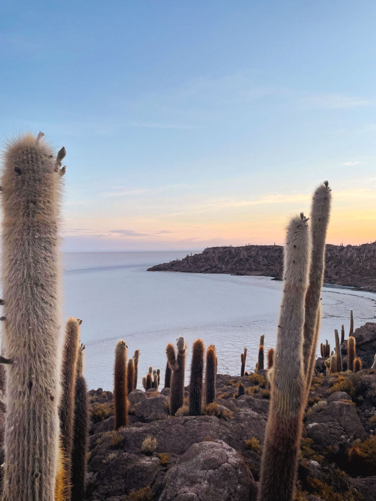 Lever du soleil sur les cactus de l'Île Incahuasi, Salar d’Uyuni, Bolivie – voyage sur mesure.