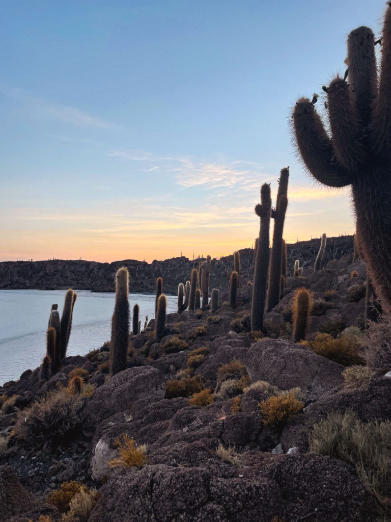Sunrise on Incahuasi Island in Salar de Uyuni, Bolivia, with giant cacti and iconic Altiplano landscapes.