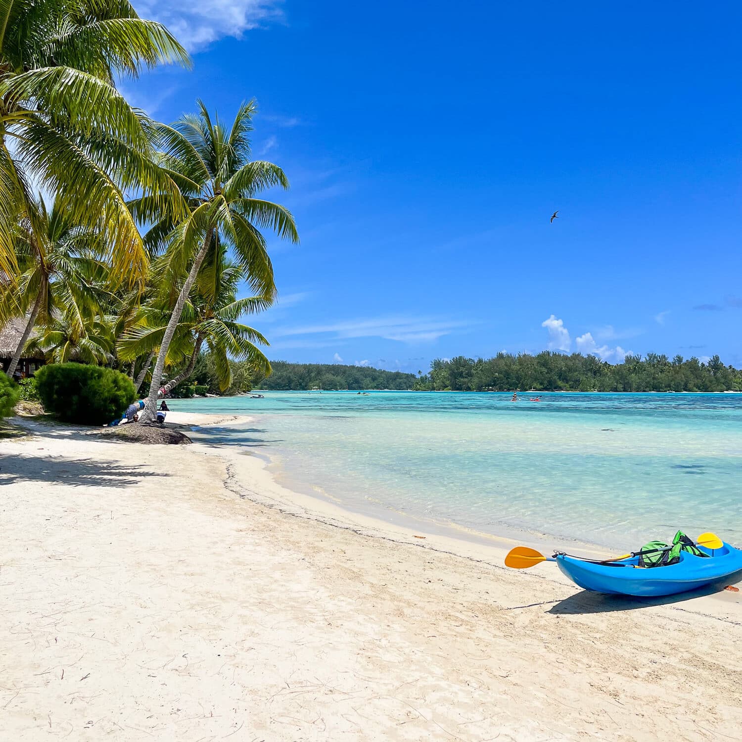 Plage paradisiaque de Moorea avec cocotiers et canoë posé sur le sable, Polynésie française.