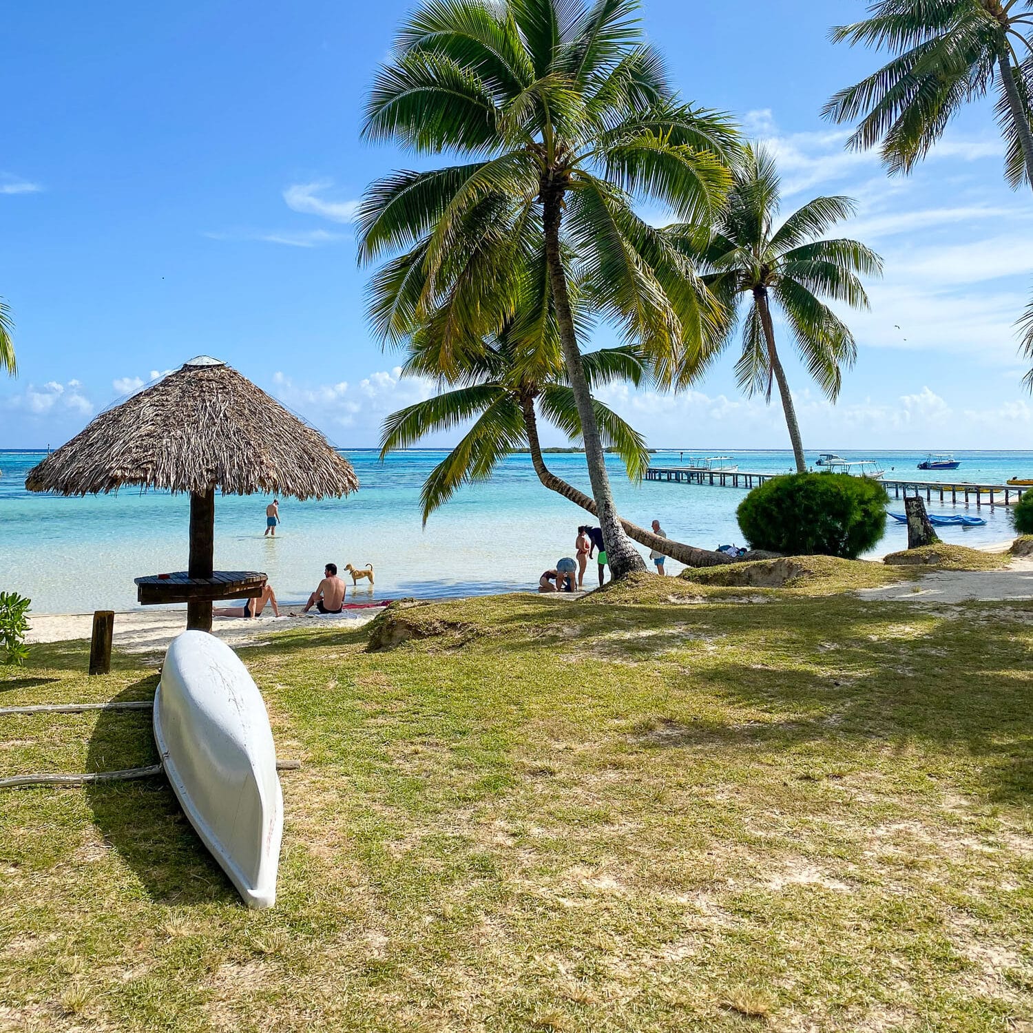 Plage de Moorea avec cocotiers et un canoë posé sur l'herbe.