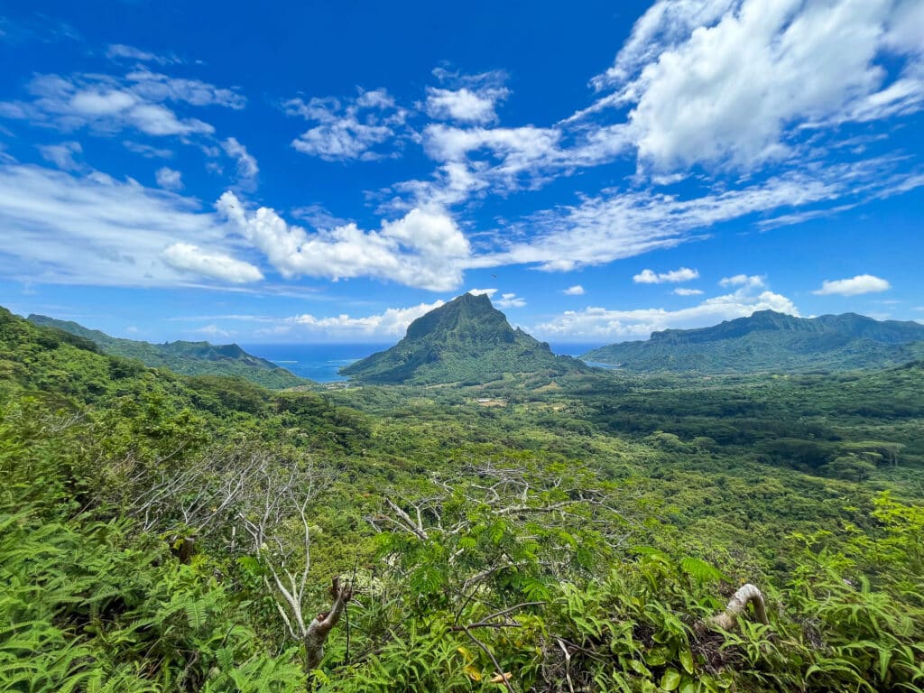 Vue panoramique depuis le col des Trois Cocotiers à Moorea, sur les montagnes et le lagon turquoise.