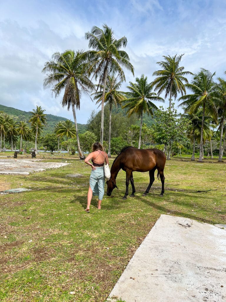 Manon de dos à Huahine avec un cheval, cocotiers et montagnes en arrière-plan, Polynésie française.