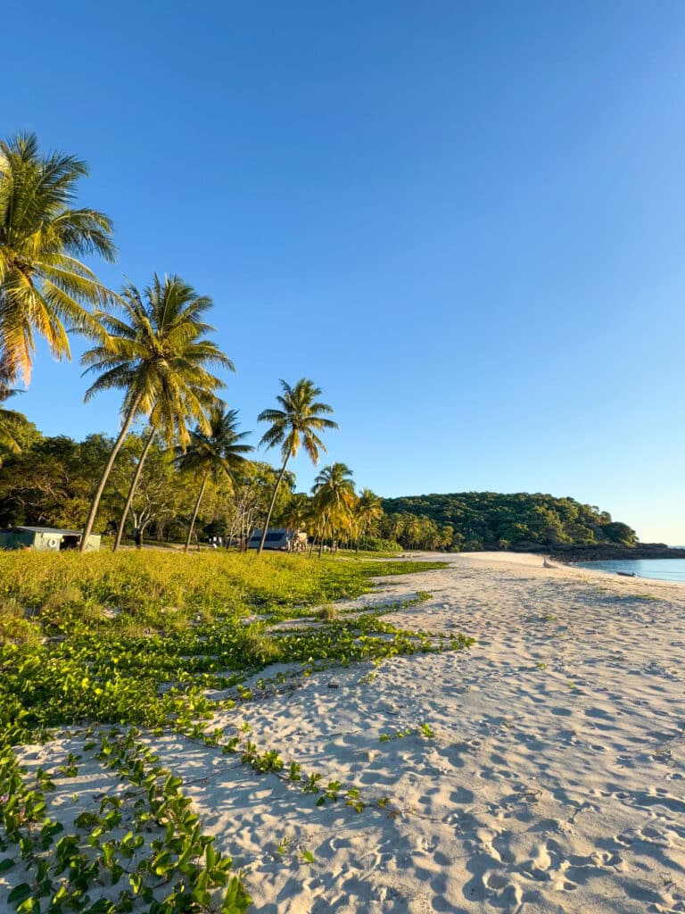 Plage paradisiaque sur une île des Whitsundays.