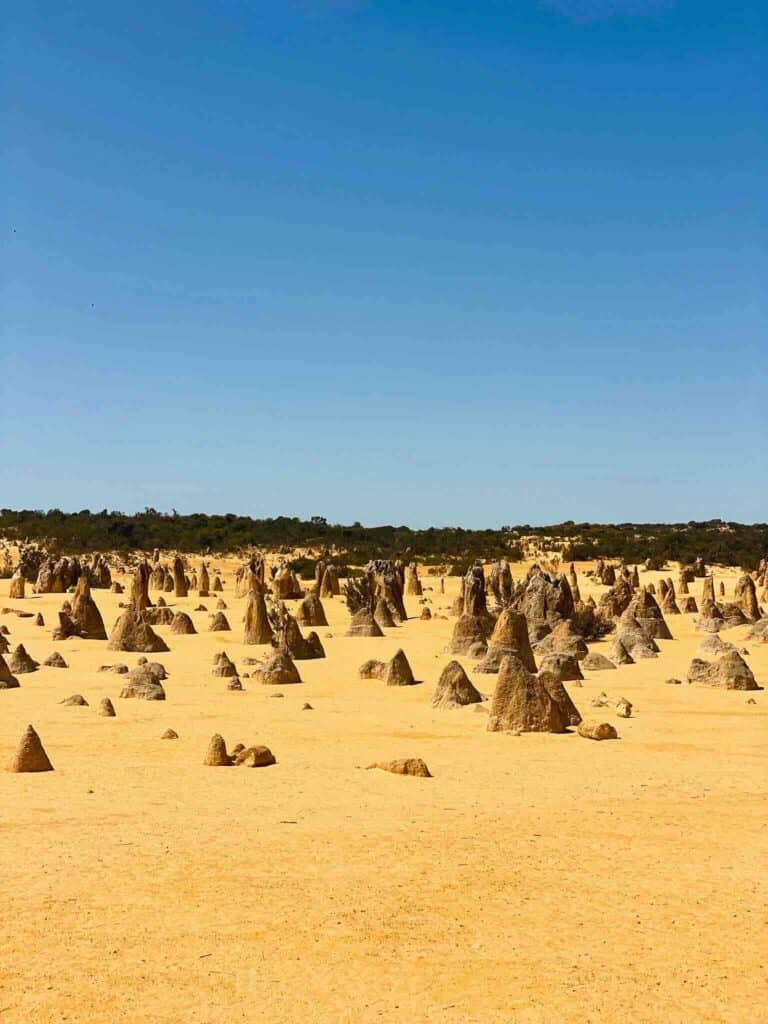Pinnacles désert, Western Australia.