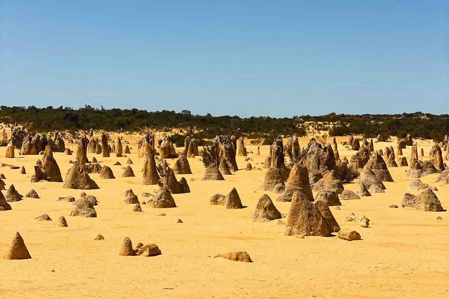Pinnacles Desert with its unique limestone rock formations in Western Australia.