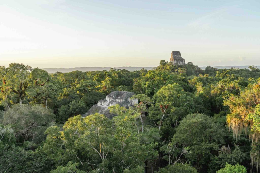 Panoramic view of the Mayan ruins of Tikal in Guatemala surrounded by dense jungle, what to do in Guatemala