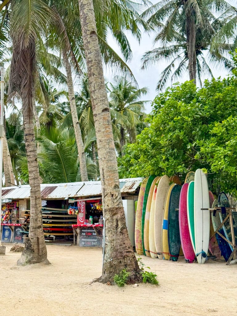 Planches de surf et cocotiers à Cloud 9, Siargao. 