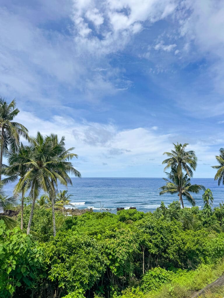 Jolies vagues depuis la route avec végétation tropicale, sur l'île de Siargao. 