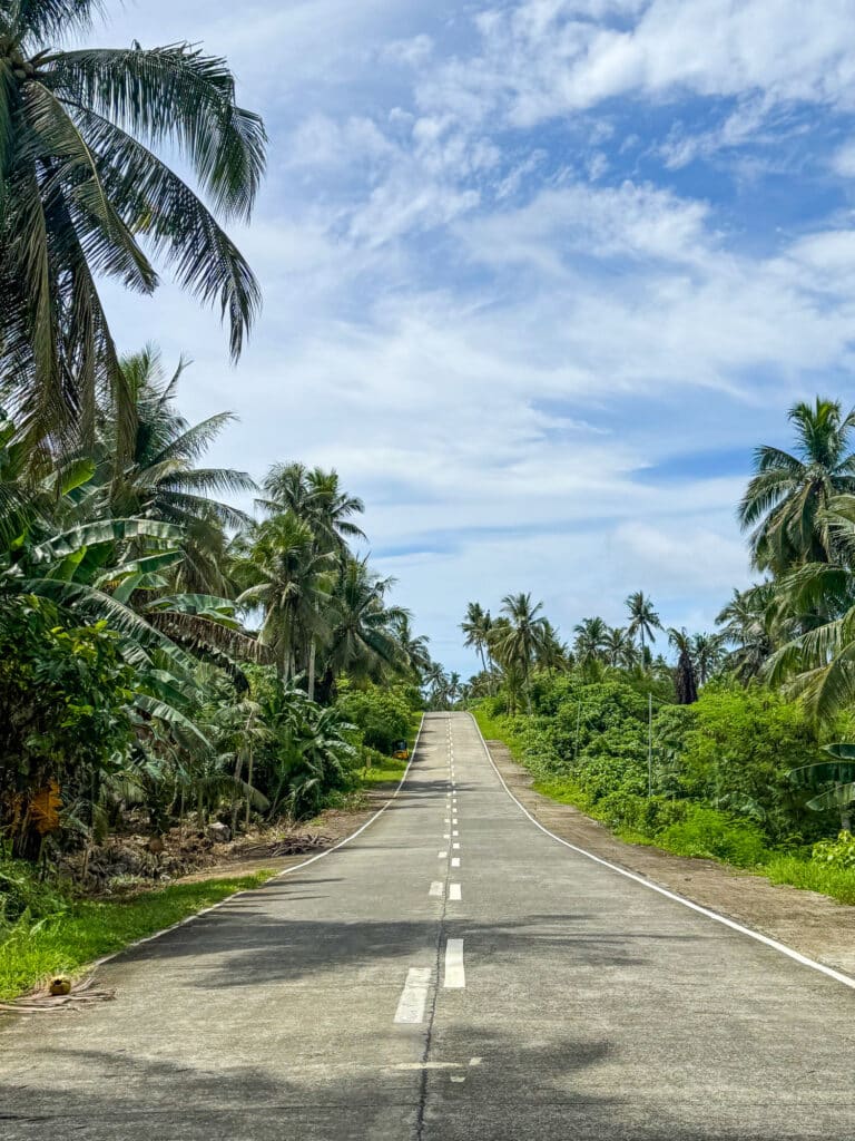 Paysage de route à Siargao, entre cocotiers et nature luxuriante.