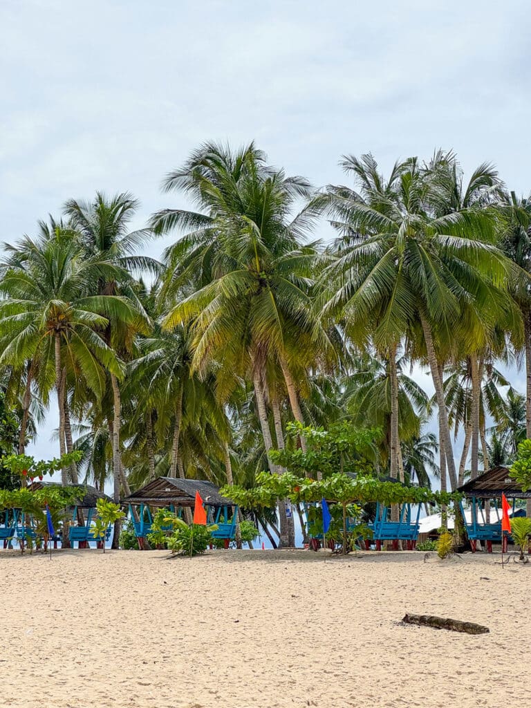 Cocotiers sur la plage de Daku Island, Philippines.