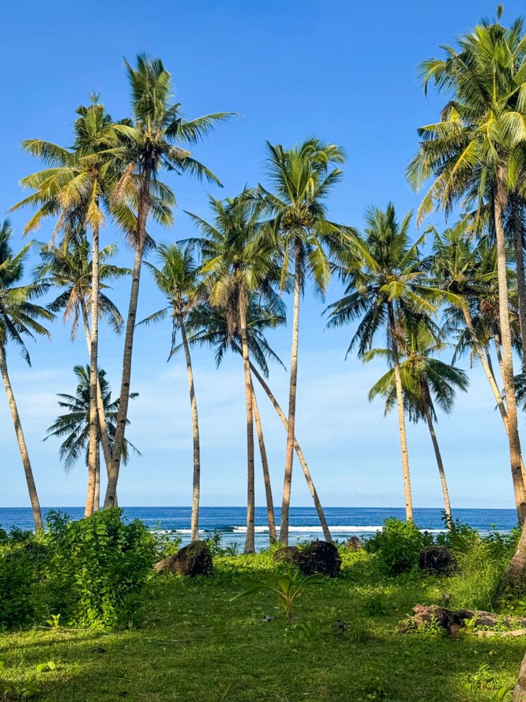 Vagues et cocotiers à Tuason, Siargao Philippines.