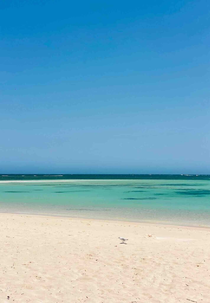 Sandy Beach with turquoise waters and white sand during our Perth to Exmouth road trip.