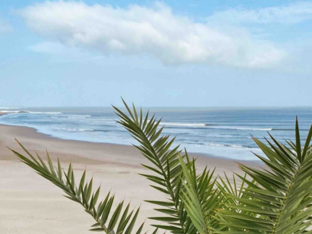 View of Puerto Chicama, the famous surf spot in northern Peru.