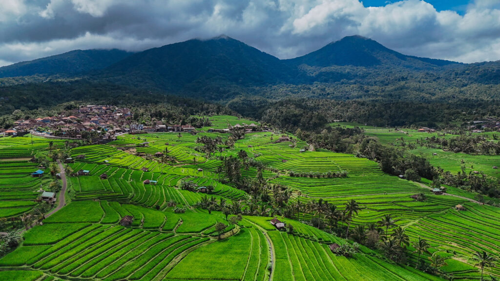 Drone view of Jatiluwih rice terraces in Bali, a must-see for those wondering what to do in Bali.