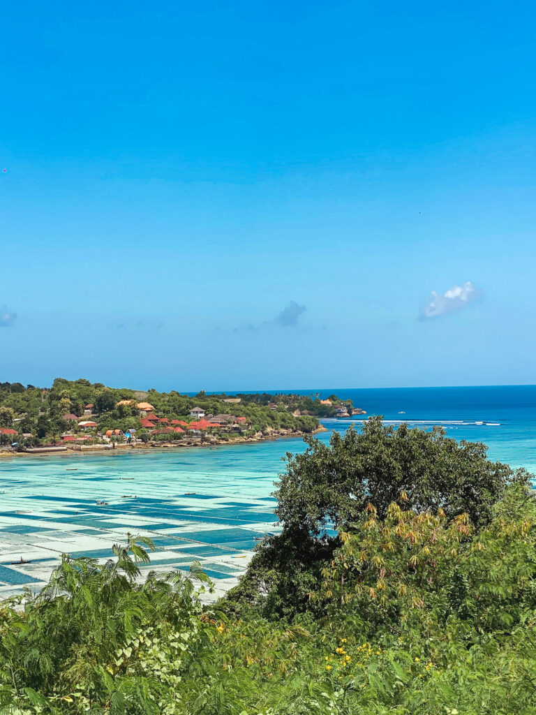 Aerial view of seaweed plantations and the ocean from the heights of Nusa Lembongan.