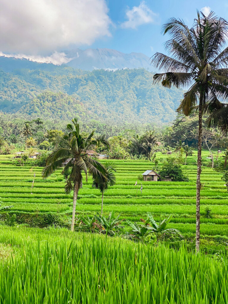 Lush Sidemen rice terraces in Bali, a must-see for those wondering what to do in Bali.