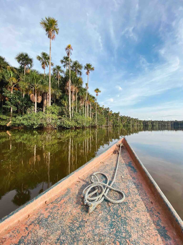 Boat exploration in the Amazon jungle in Peru, Puerto Maldonado.